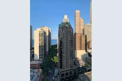 1030 N State Street #14H, Chicago, IL 60610 - Photo 7