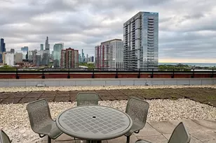 320 E 21st St, Chicago, IL 60616 - Photo 23