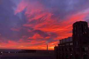 320 E 21st St, Chicago, IL 60616 - Photo 19