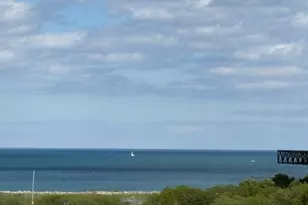 320 E 21st St, Chicago, IL 60616 - Photo 17