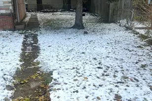 4601 W 82nd St, Chicago, IL 60652 - Photo 29