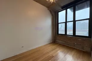 320 E 21st St, Chicago, IL 60616 - Photo 11