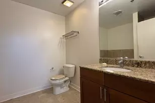 320 E 21st St, Chicago, IL 60616 - Photo 13