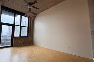 320 E 21st St, Chicago, IL 60616 - Photo 5