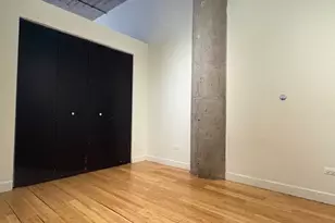 320 E 21st St, Chicago, IL 60616 - Photo 9