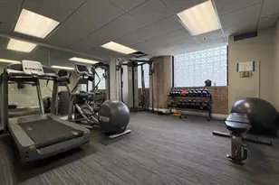 320 E 21st St, Chicago, IL 60616 - Photo 15