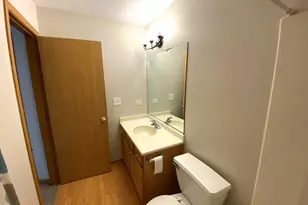 3864 Pathfinder Ln, Joliet, IL 60435 - Photo 19