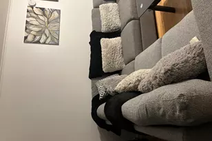 12748 S Lowe St, Chicago, IL 60638 - Photo 9