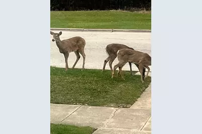 2222 S 15th Avenue, North Riverside, IL 60546 - Photo 45