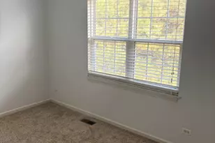 610 Daisy Ln, Roselle, IL 60172 - Photo 21