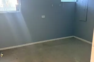 610 Daisy Ln, Roselle, IL 60172 - Photo 29