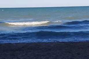 1138 W Pratt Blvd, Chicago, IL 60626 - Photo 41