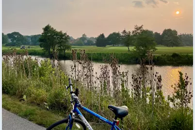 2412 Pepper Tree Court, Lisle, IL 60532 - Photo 37