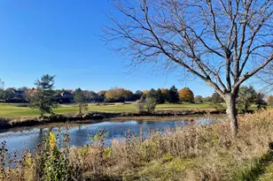 2412 Pepper Tree Ct, Lisle, IL 60532 - Photo 39