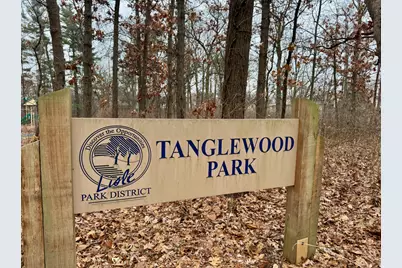 2412 Pepper Tree Court, Lisle, IL 60532 - Photo 41