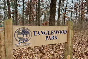 2412 Pepper Tree Ct, Lisle, IL 60532 - Photo 41