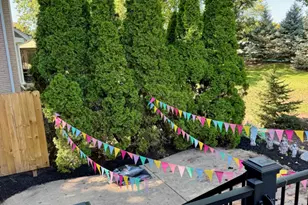 2412 Pepper Tree Ct, Lisle, IL 60532 - Photo 35