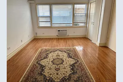 8518 W Rascher Avenue #2, Chicago, IL 60656 - Photo 11