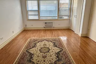 8518 W Rascher Ave, Chicago, IL 60656 - Photo 11