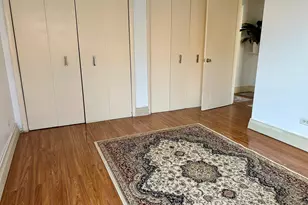 8518 W Rascher Ave, Chicago, IL 60656 - Photo 15