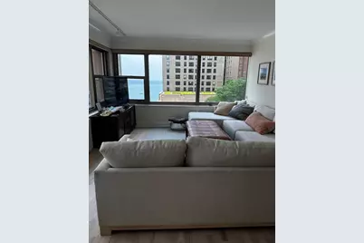 247 E Chestnut Street #1201, Chicago, IL 60611 - Photo 5