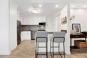 247 E Chestnut St, Chicago, IL 60611 - Photo 13