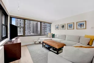 247 E Chestnut St, Chicago, IL 60611 - Photo 7