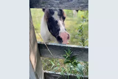 1347 Wild Indigo Road, Grayslake, IL 60030 - Photo 45