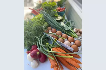 1347 Wild Indigo Road, Grayslake, IL 60030 - Photo 47