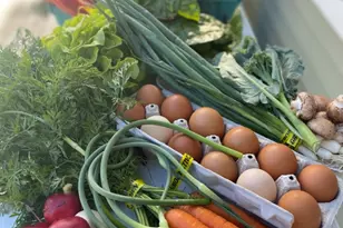 1347 Wild Indigo Rd, Grayslake, IL 60030 - Photo 47