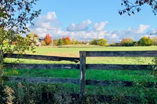 1347 Wild Indigo Rd, Grayslake, IL 60030 - Photo 49