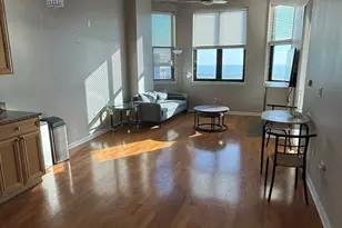 1464 S Michigan Ave, Chicago, IL 60605 - Photo 9