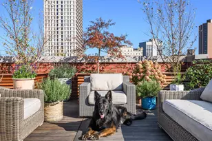 1942 N Sedgwick St, Chicago, IL 60614 - Photo 71