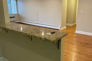 1 N Chestnut Ave, Arlington Heights, IL 60005 - Photo 5