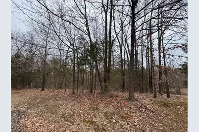 000 Indian Creek Drive, Orangeville, IL 62939 - Photo 5