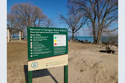 1127 W Albion Avenue, Chicago, IL 60626 - Photo 41