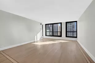 1030 N State St, Chicago, IL 60610 - Photo 5