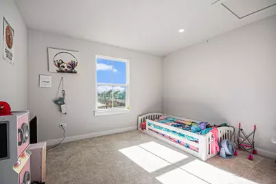 245 Goldenrod Drive, Sugar Grove, IL 60554 - Photo 17