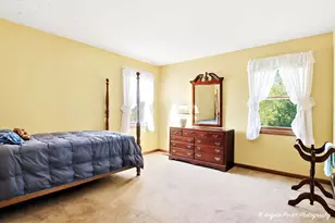 26630 N Pheasant Trail, Wauconda, IL 60084 - Photo 27