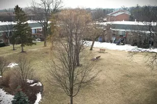 10353 Dearlove Rd, Glenview, IL 60025 - Photo 19