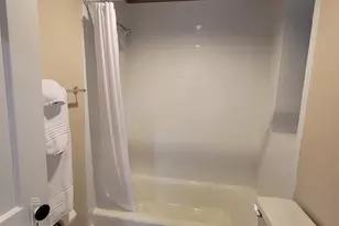 1621 S Ruble St, Chicago, IL 60616 - Photo 7