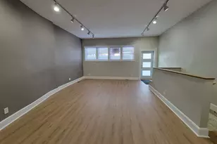 1621 S Ruble St, Chicago, IL 60616 - Photo 3