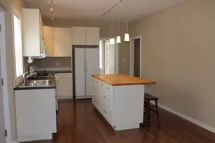 1621 S Ruble St, Chicago, IL 60616 - Photo 17