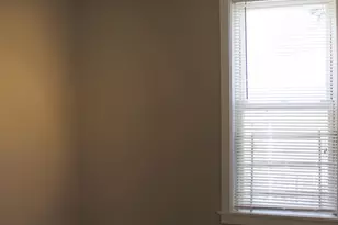 1621 S Ruble St, Chicago, IL 60616 - Photo 21