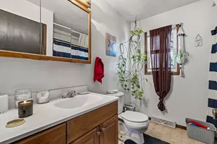 313 5th St, Colona, IL 61241 - Photo 35