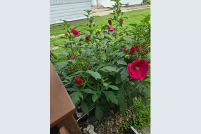 220 N Locust Street, Wapella, IL 61777 - Photo 37