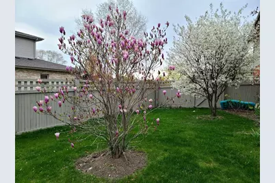 18753 Rosewood Lane, Mokena, IL 60448 - Photo 35