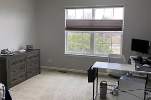 3032 Longcommon Pkwy, Elgin, IL 60124 - Photo 19