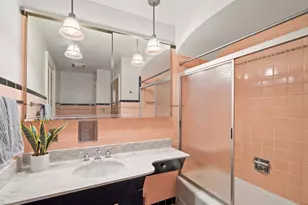 905 S Seminary Ave, Park Ridge, IL 60068 - Photo 29