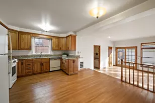 905 S Seminary Ave, Park Ridge, IL 60068 - Photo 13